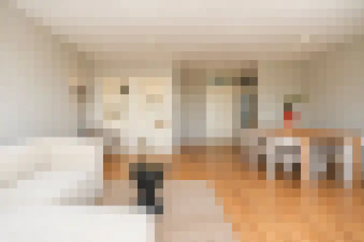 Socrateslaan 87 's-Hertogenbosch thumbnail 6