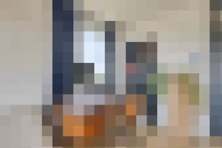 Socrateslaan 99 's-Hertogenbosch thumbnail 10