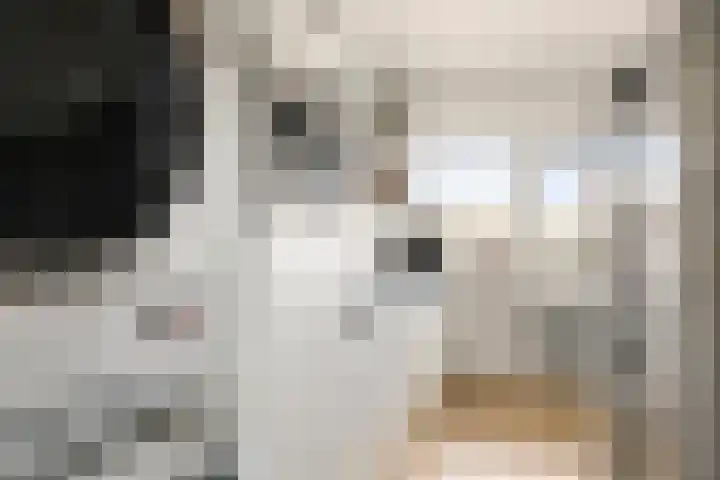 Socrateslaan 99 's-Hertogenbosch thumbnail 12