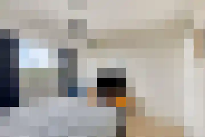 Socrateslaan 99 's-Hertogenbosch thumbnail 15
