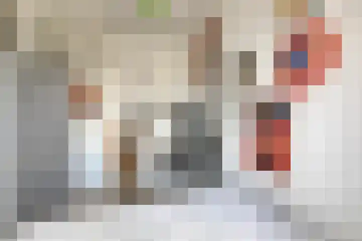 Socrateslaan 99 's-Hertogenbosch thumbnail 17