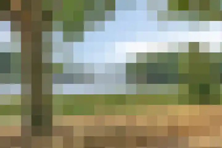 Socrateslaan 99 's-Hertogenbosch thumbnail 21