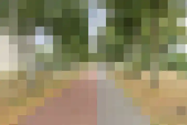 Socrateslaan 99 's-Hertogenbosch thumbnail 22