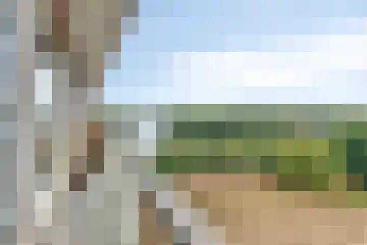 Socrateslaan 99 's-Hertogenbosch thumbnail 4