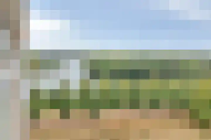 Socrateslaan 99 's-Hertogenbosch thumbnail 5