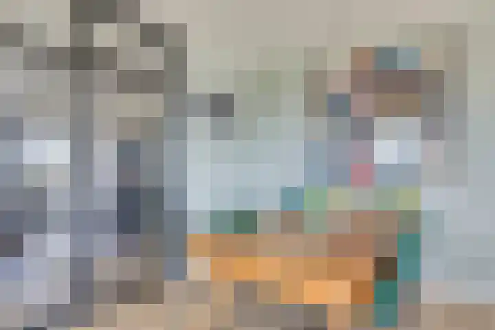 Socrateslaan 99 's-Hertogenbosch thumbnail 8