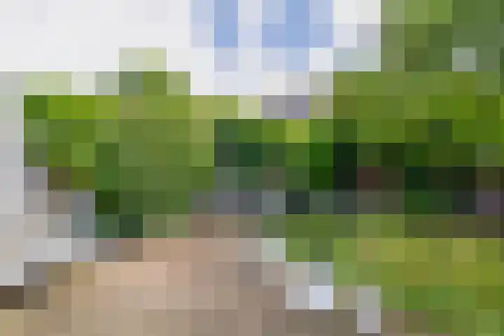 Socratesstraat 10 Arnhem thumbnail 27