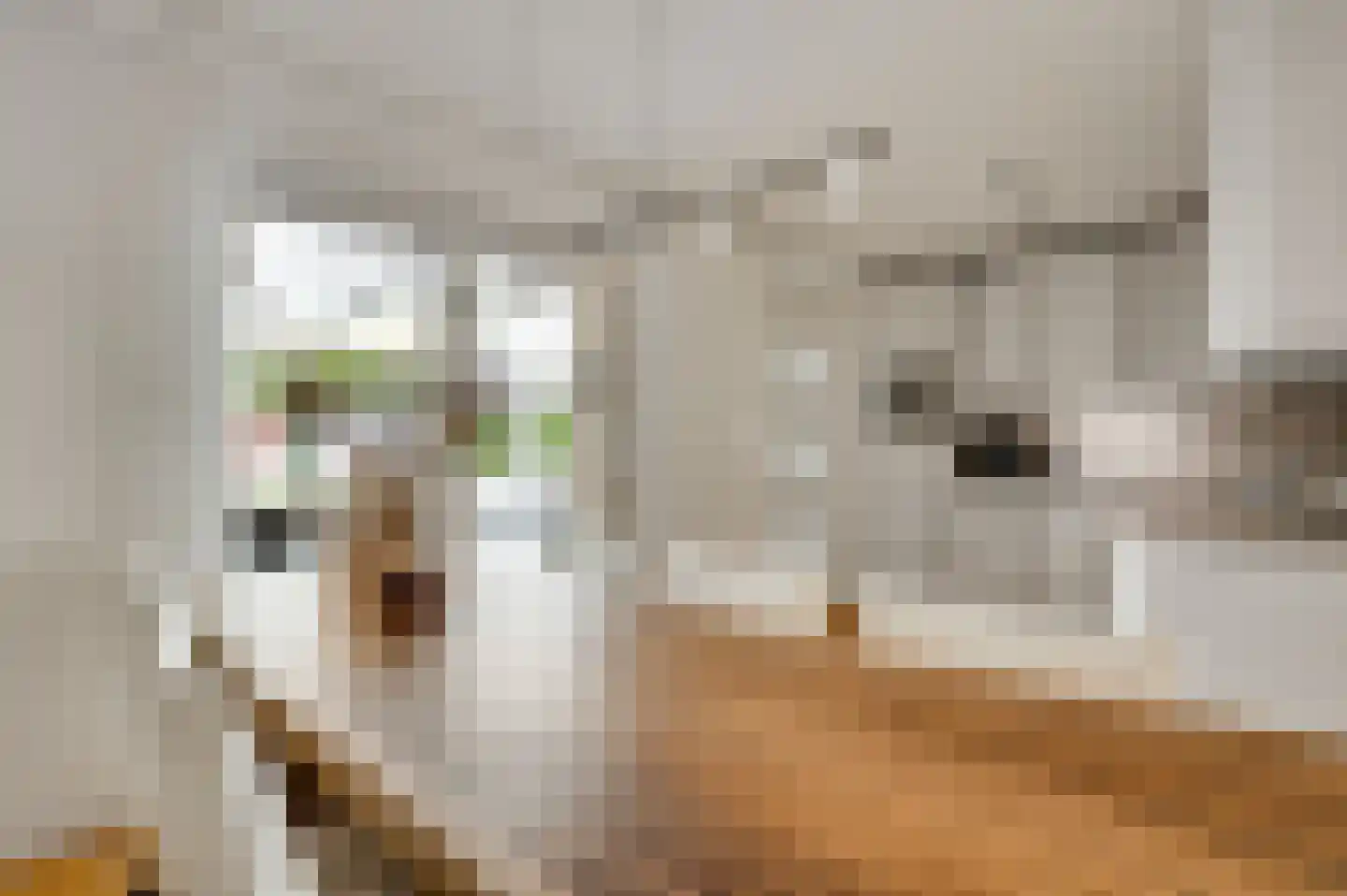 Socratesstraat 10 Brunssum thumbnail 10