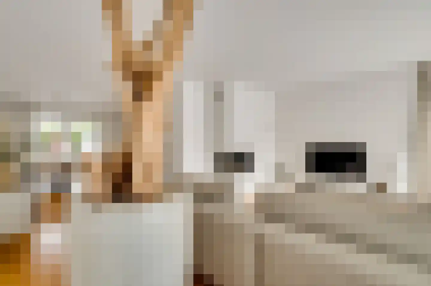 Socratesstraat 10 Brunssum thumbnail 7