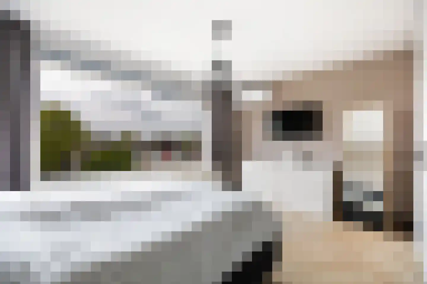 Socratesstraat 104 Apeldoorn thumbnail 25