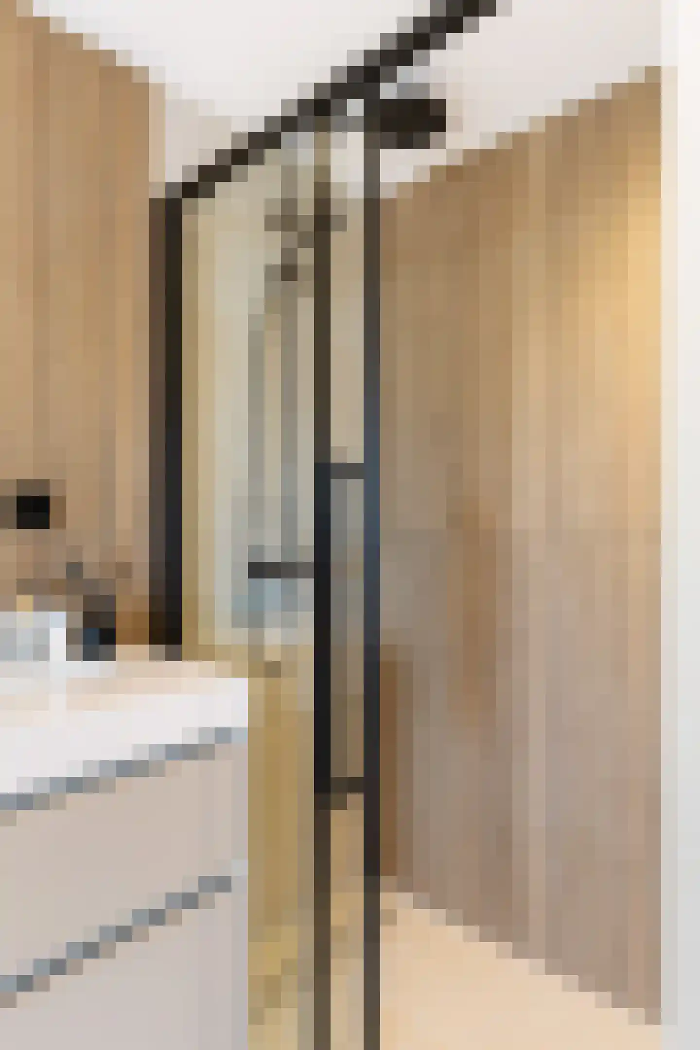 Socratesstraat 104 Apeldoorn thumbnail 28