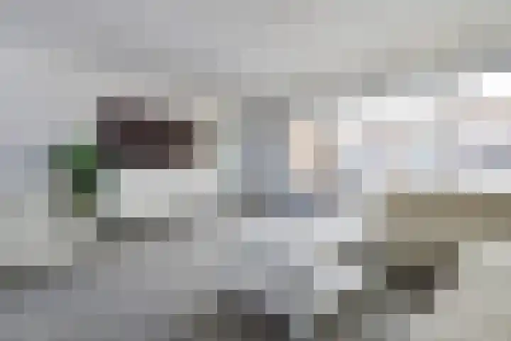 Socratesstraat 11 Arnhem thumbnail 10