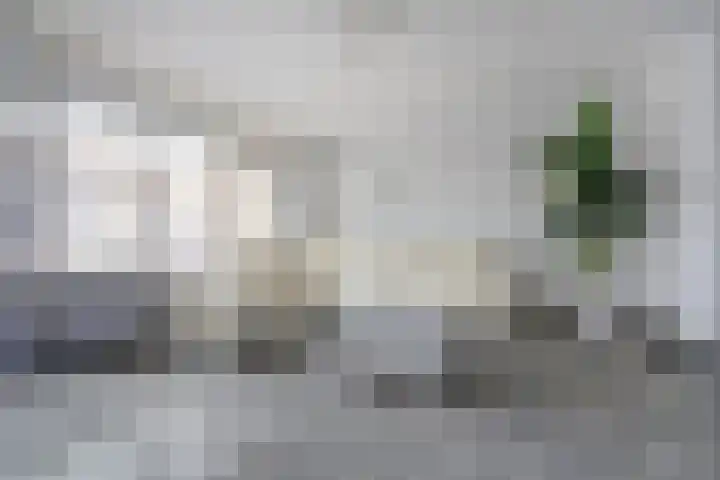 Socratesstraat 11 Arnhem thumbnail 11