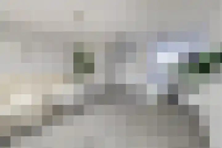 Socratesstraat 11 Arnhem thumbnail 12