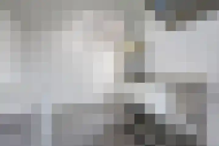 Socratesstraat 11 Arnhem thumbnail 21