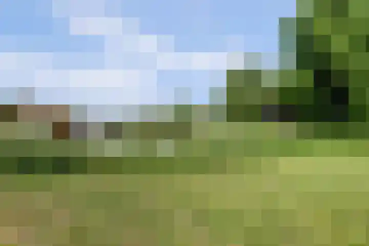 Socratesstraat 11 Arnhem thumbnail 51