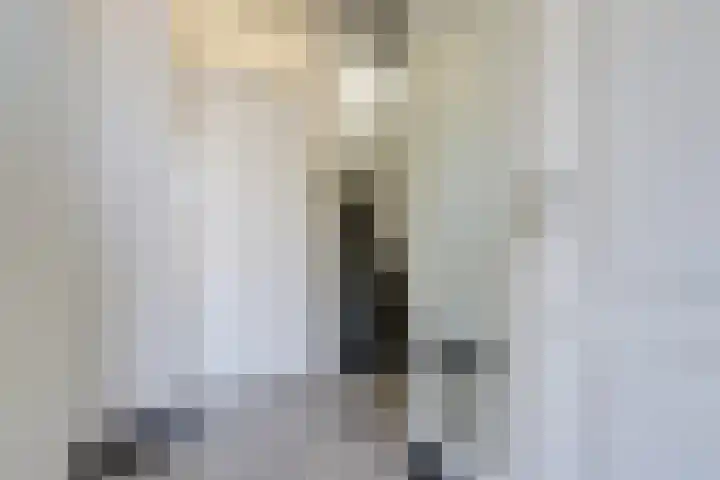 Socratesstraat 11 Arnhem thumbnail 6