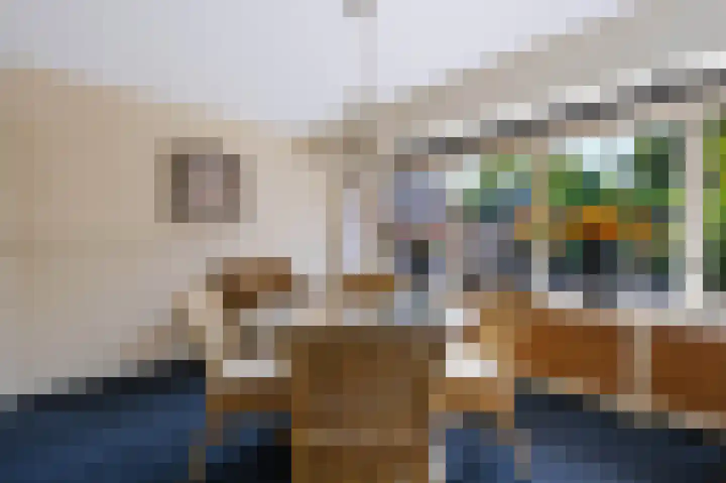 Socratesstraat 110 Apeldoorn thumbnail 10