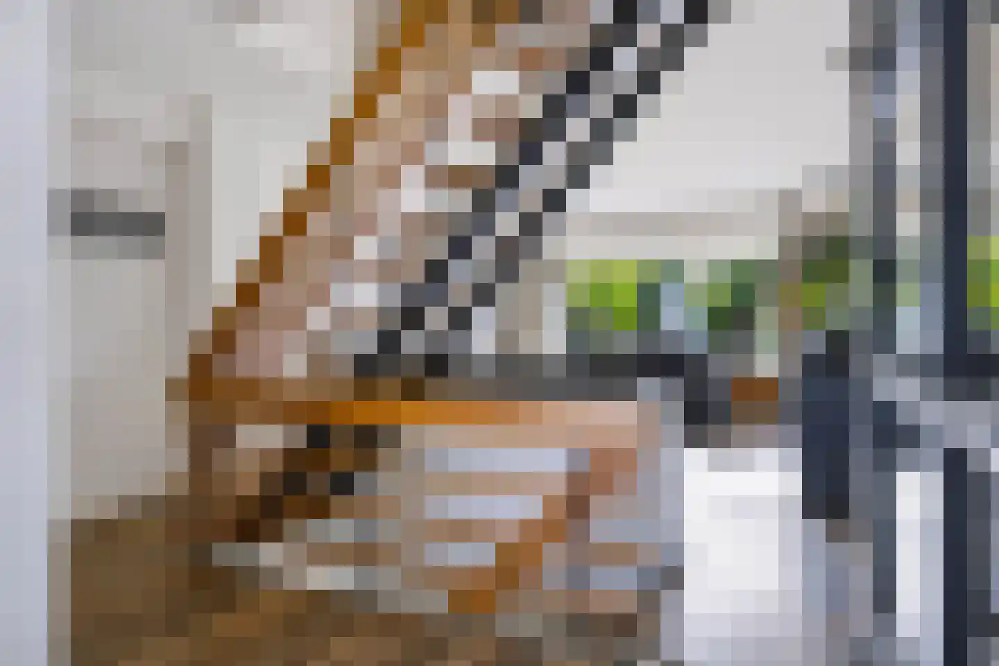 Socratesstraat 110 Apeldoorn thumbnail 16