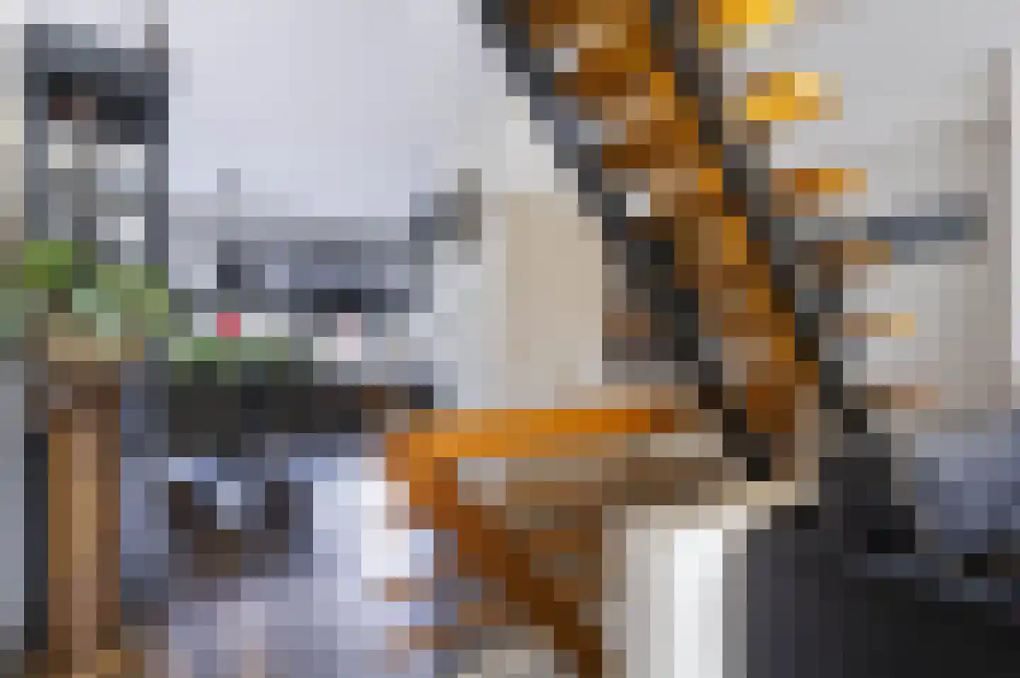 Socratesstraat 110 Apeldoorn thumbnail 19