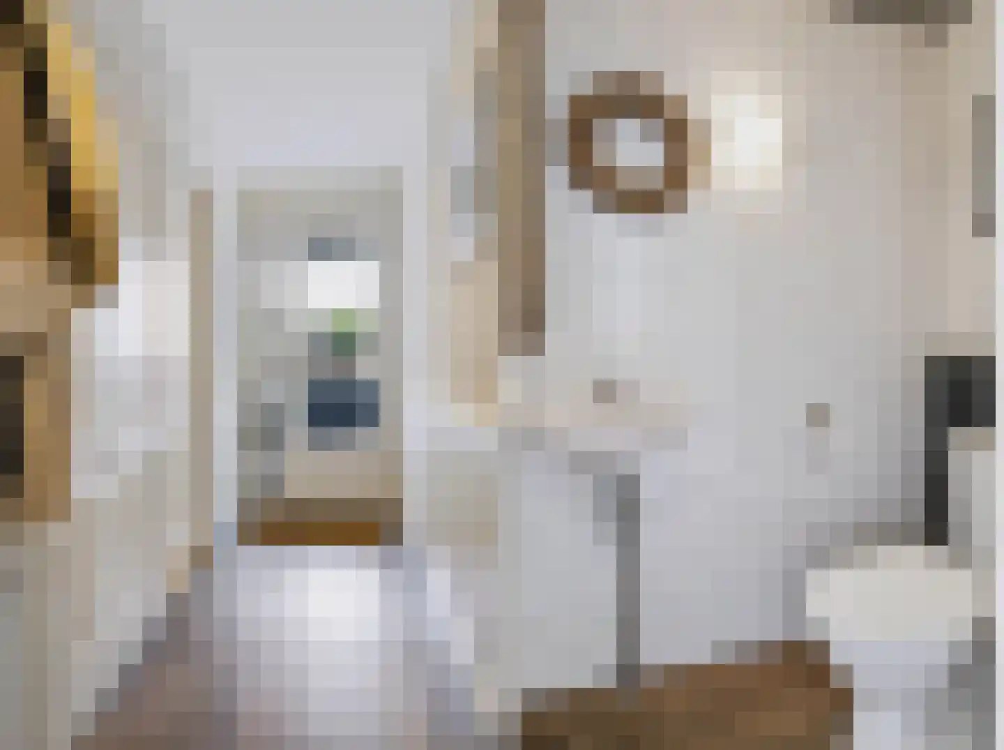 Socratesstraat 110 Apeldoorn thumbnail 8