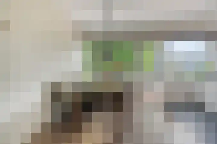 Socratesstraat 122 Apeldoorn thumbnail 11