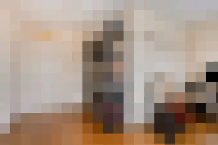 Socratesstraat 128 Apeldoorn thumbnail 32