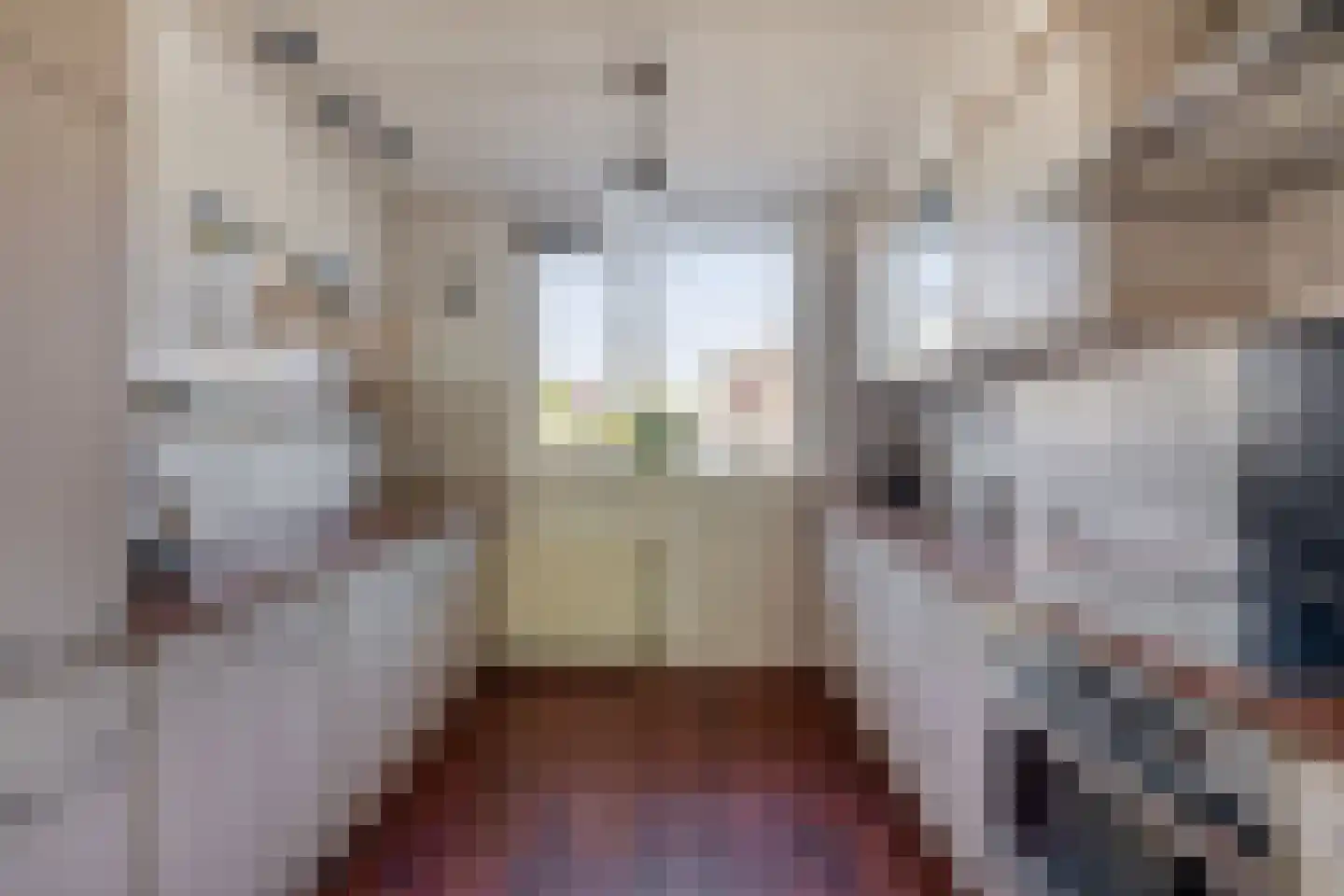 Socratesstraat 13 Arnhem thumbnail 7