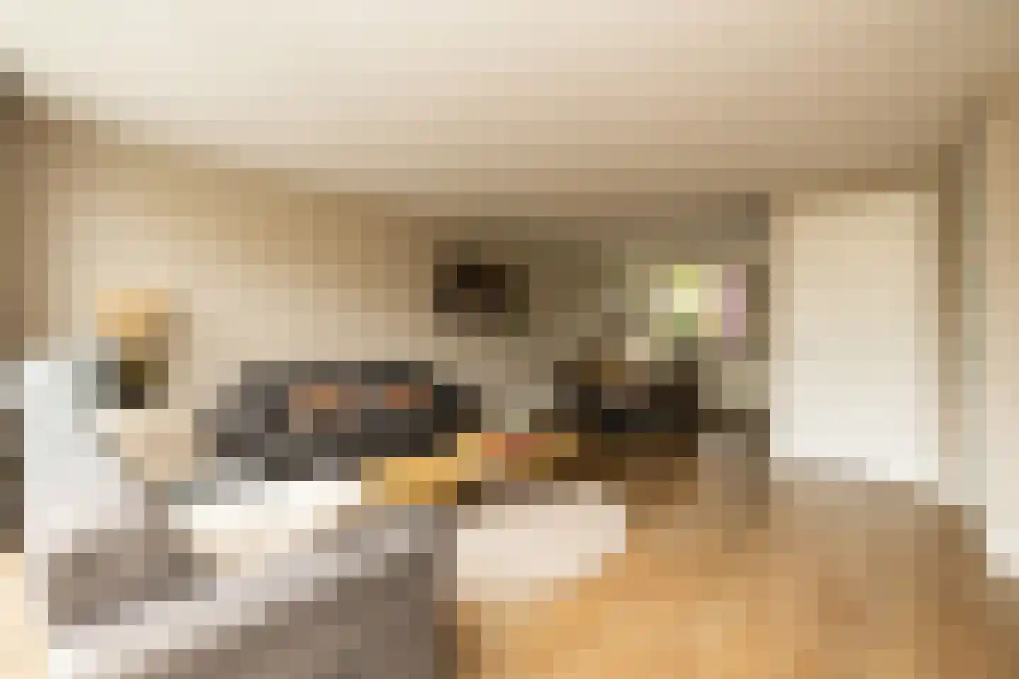 Socratesstraat 13 Honselersdijk thumbnail 10