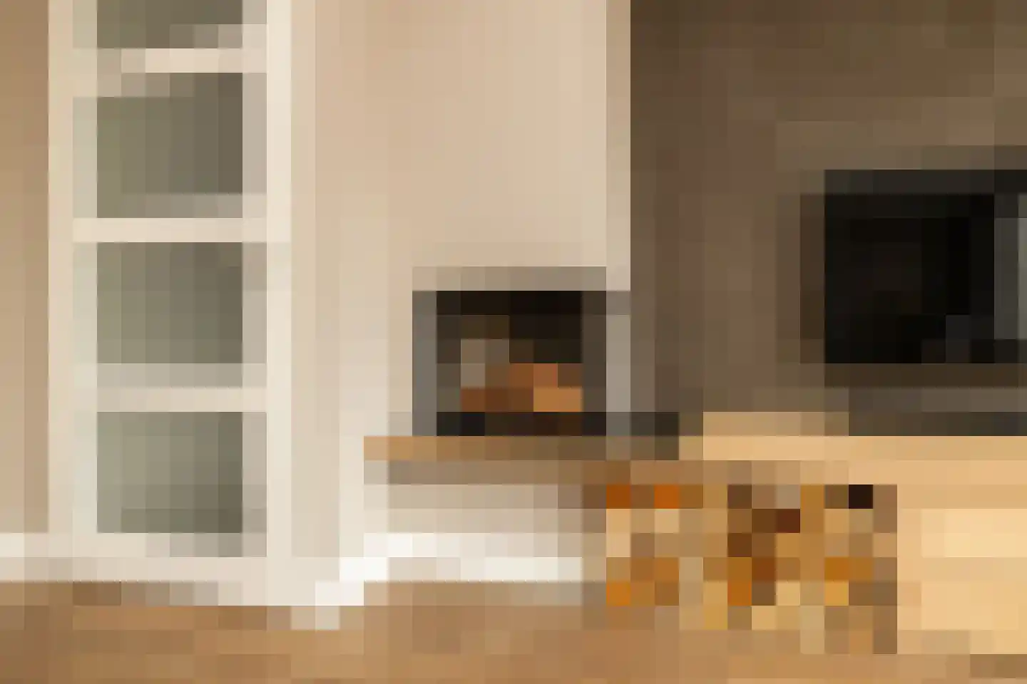 Socratesstraat 13 Honselersdijk thumbnail 11