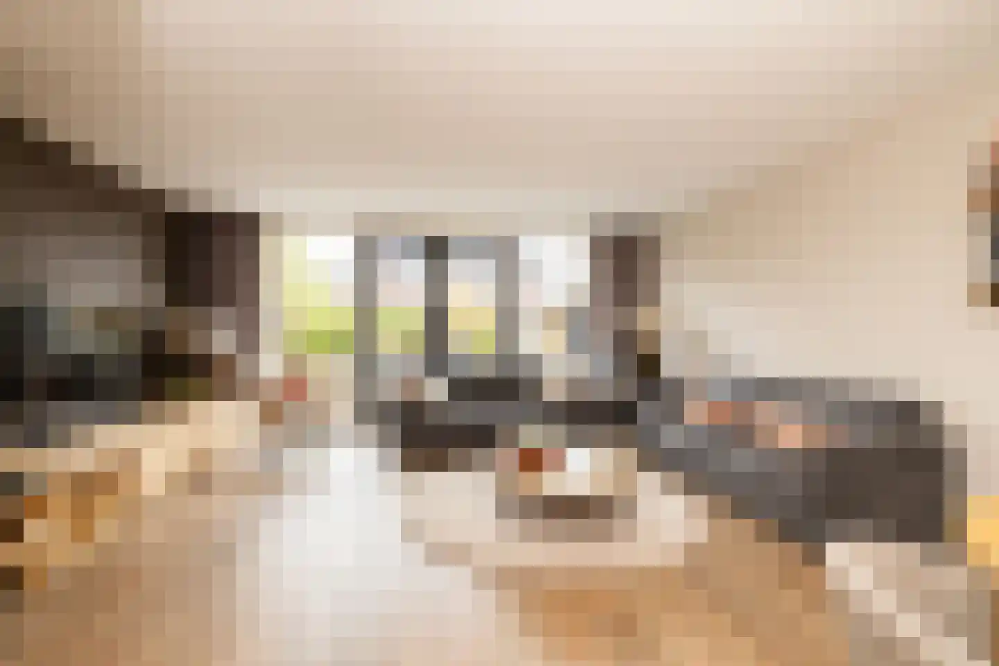 Socratesstraat 13 Honselersdijk thumbnail 12