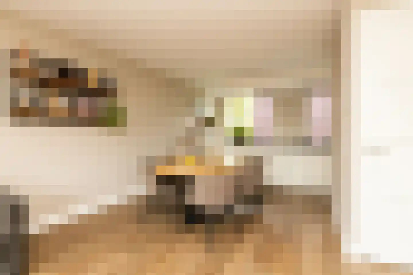 Socratesstraat 13 Honselersdijk thumbnail 13