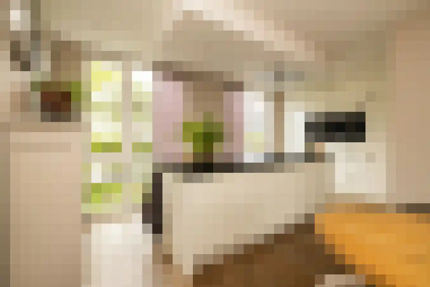 Socratesstraat 13 Honselersdijk thumbnail 14