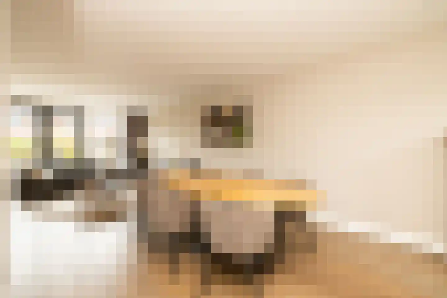 Socratesstraat 13 Honselersdijk thumbnail 17