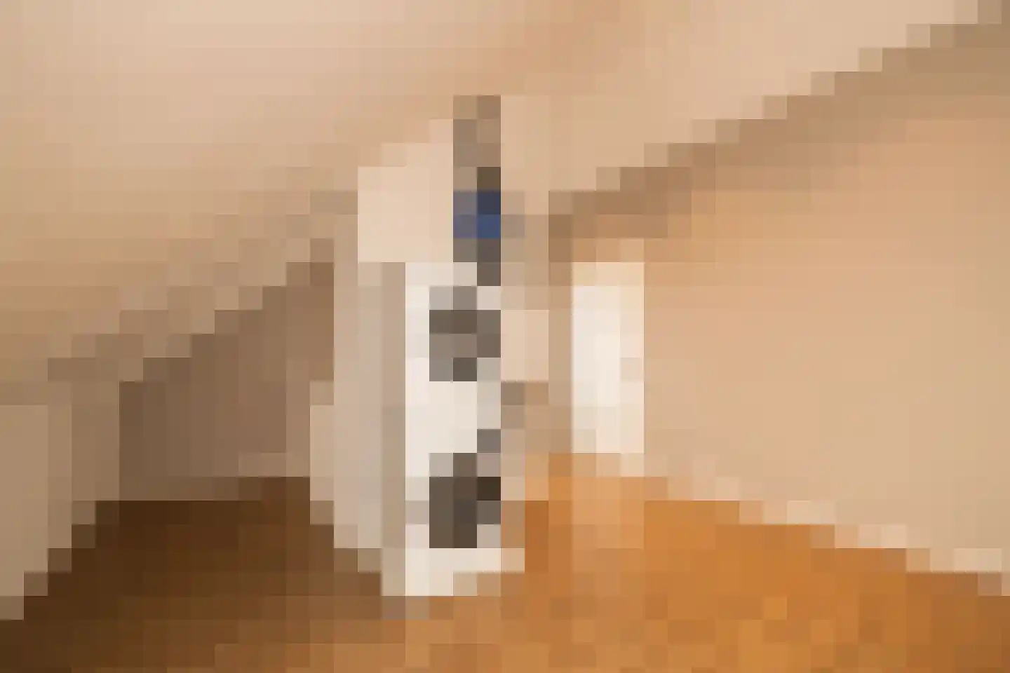 Socratesstraat 13 Honselersdijk thumbnail 31