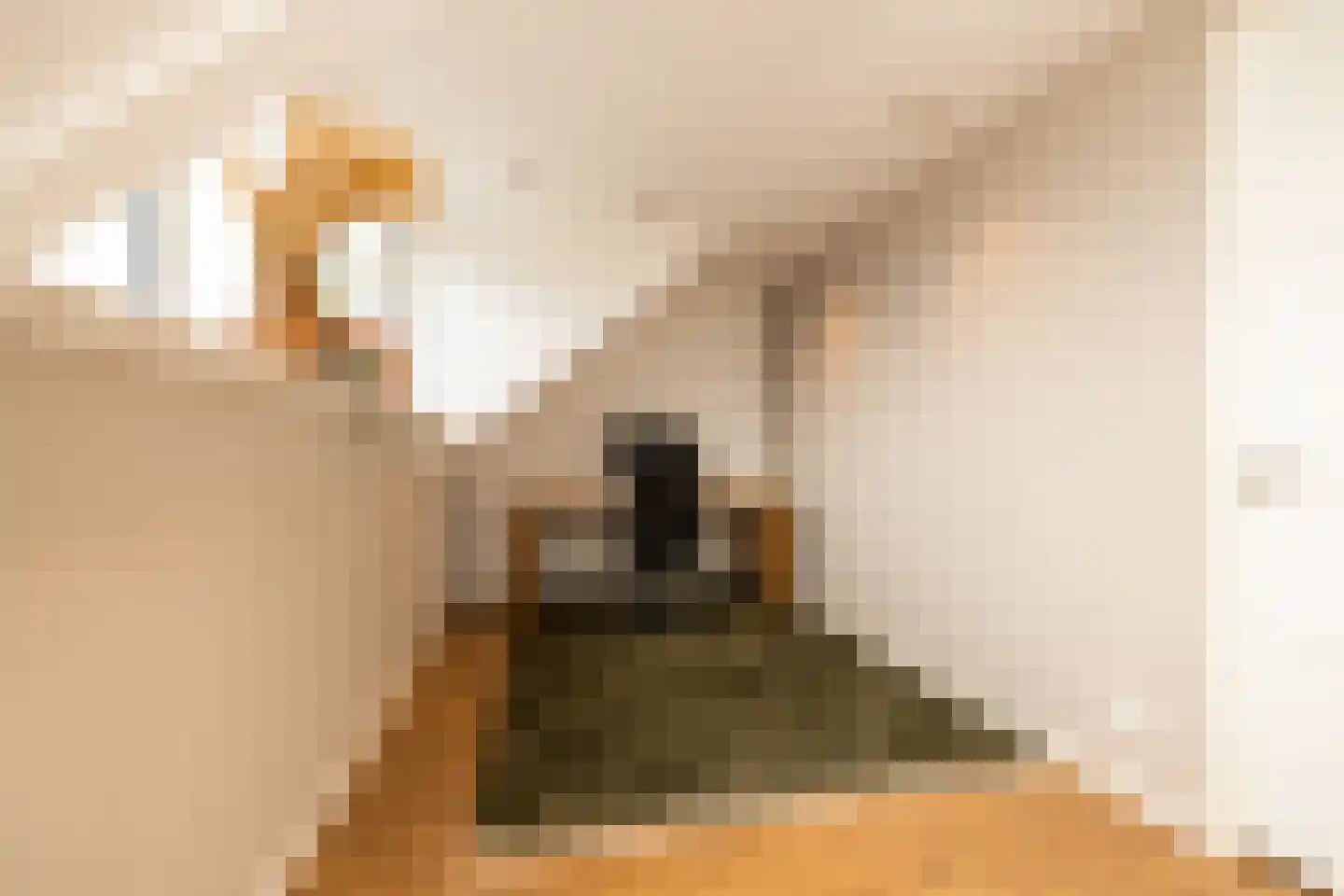 Socratesstraat 13 Honselersdijk thumbnail 32
