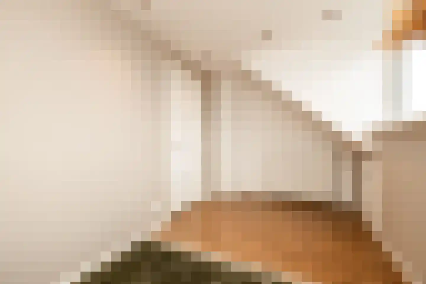 Socratesstraat 13 Honselersdijk thumbnail 33