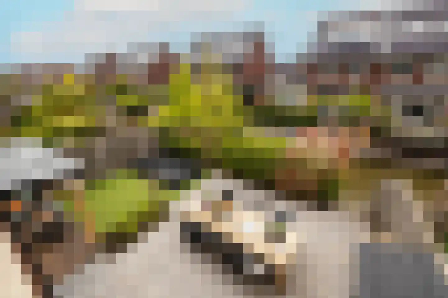 Socratesstraat 13 Honselersdijk thumbnail 34