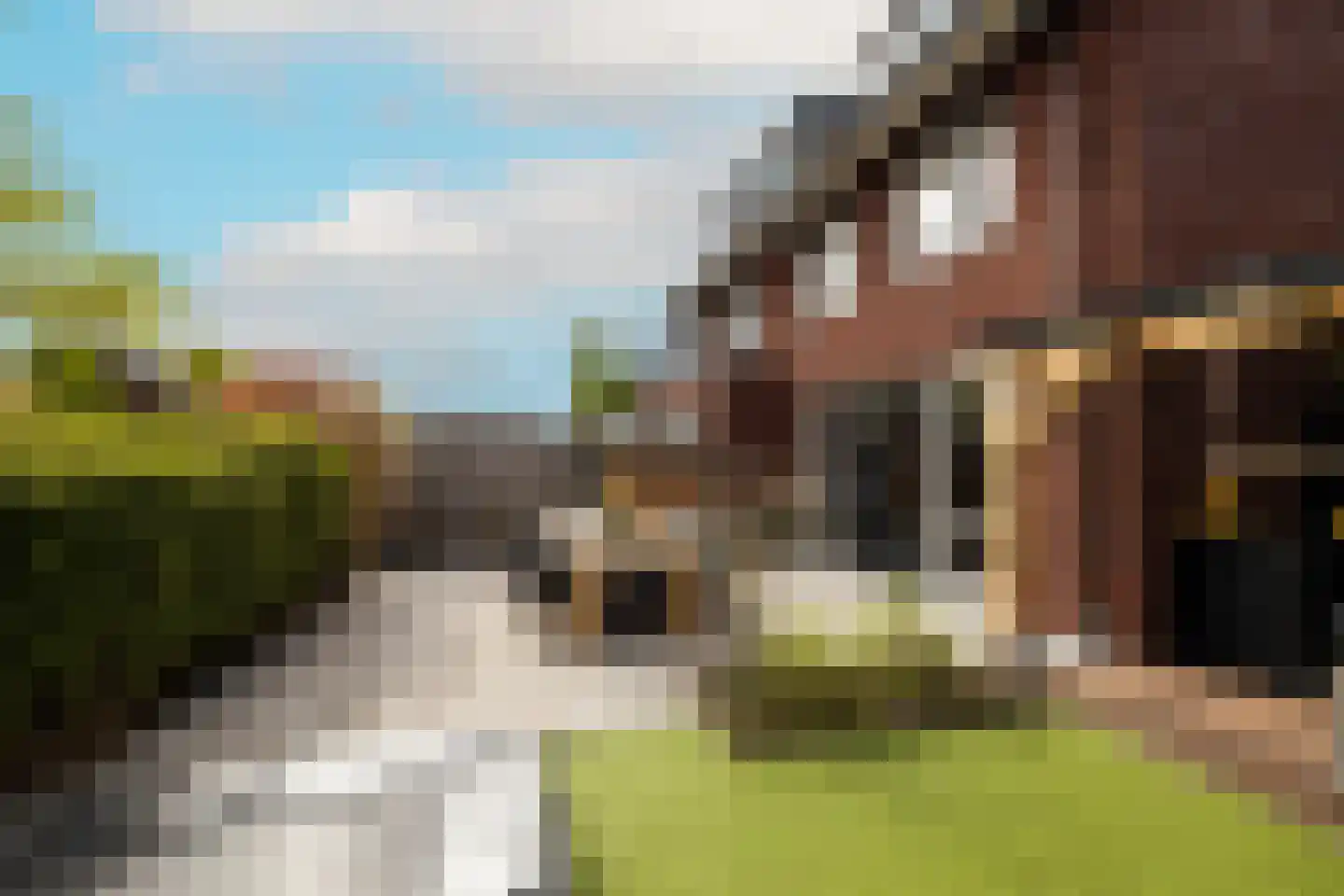 Socratesstraat 13 Honselersdijk thumbnail 38