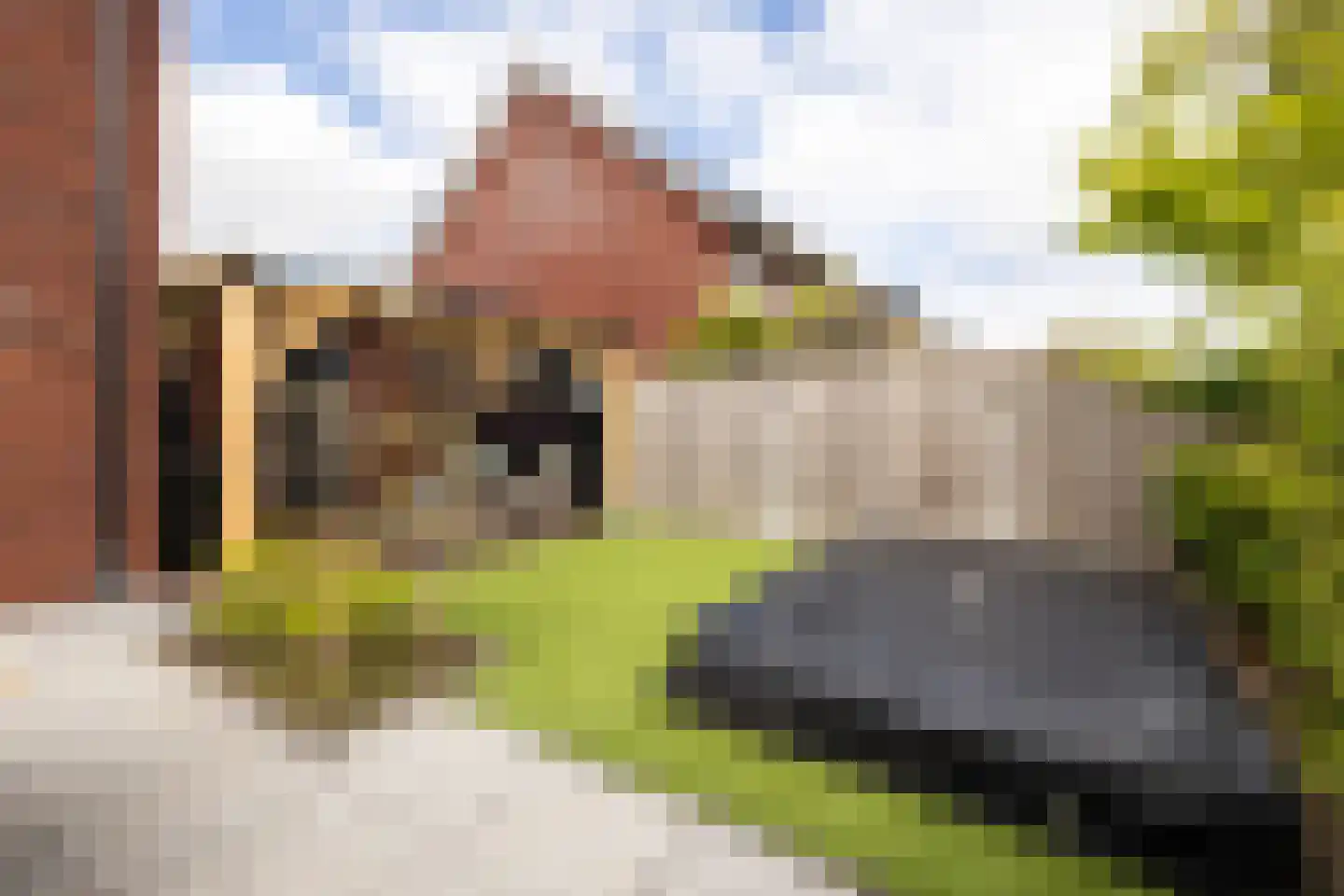 Socratesstraat 13 Honselersdijk thumbnail 39
