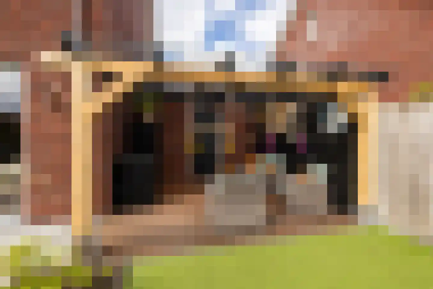 Socratesstraat 13 Honselersdijk thumbnail 40