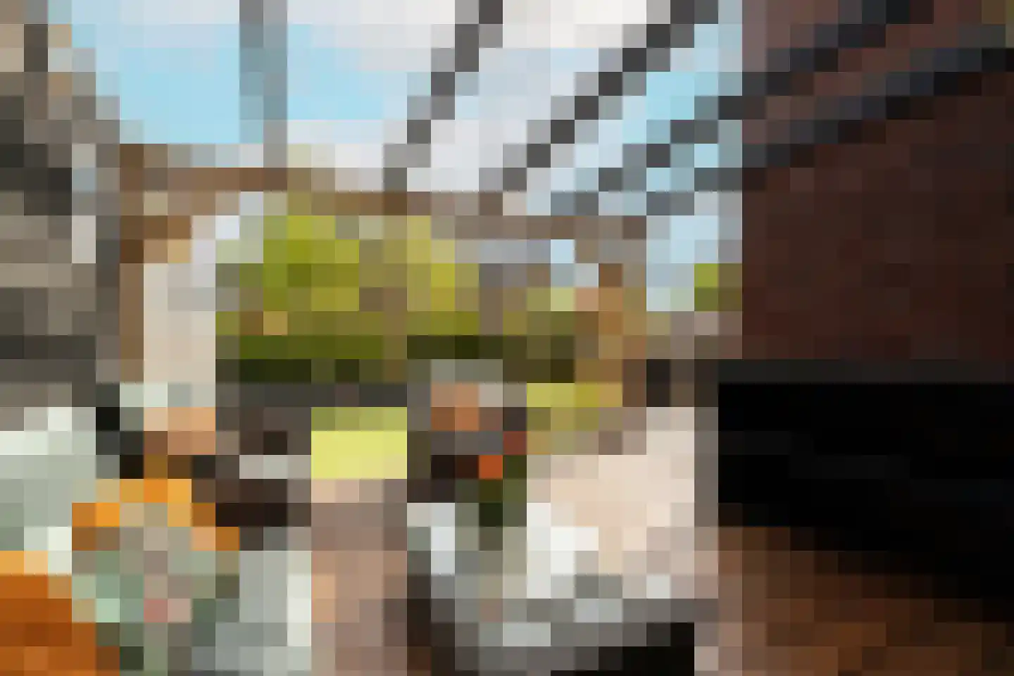 Socratesstraat 13 Honselersdijk thumbnail 41