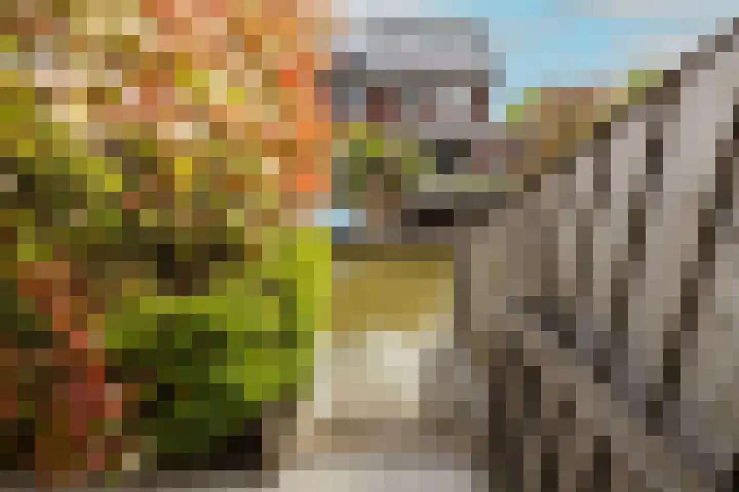 Socratesstraat 13 Honselersdijk thumbnail 43
