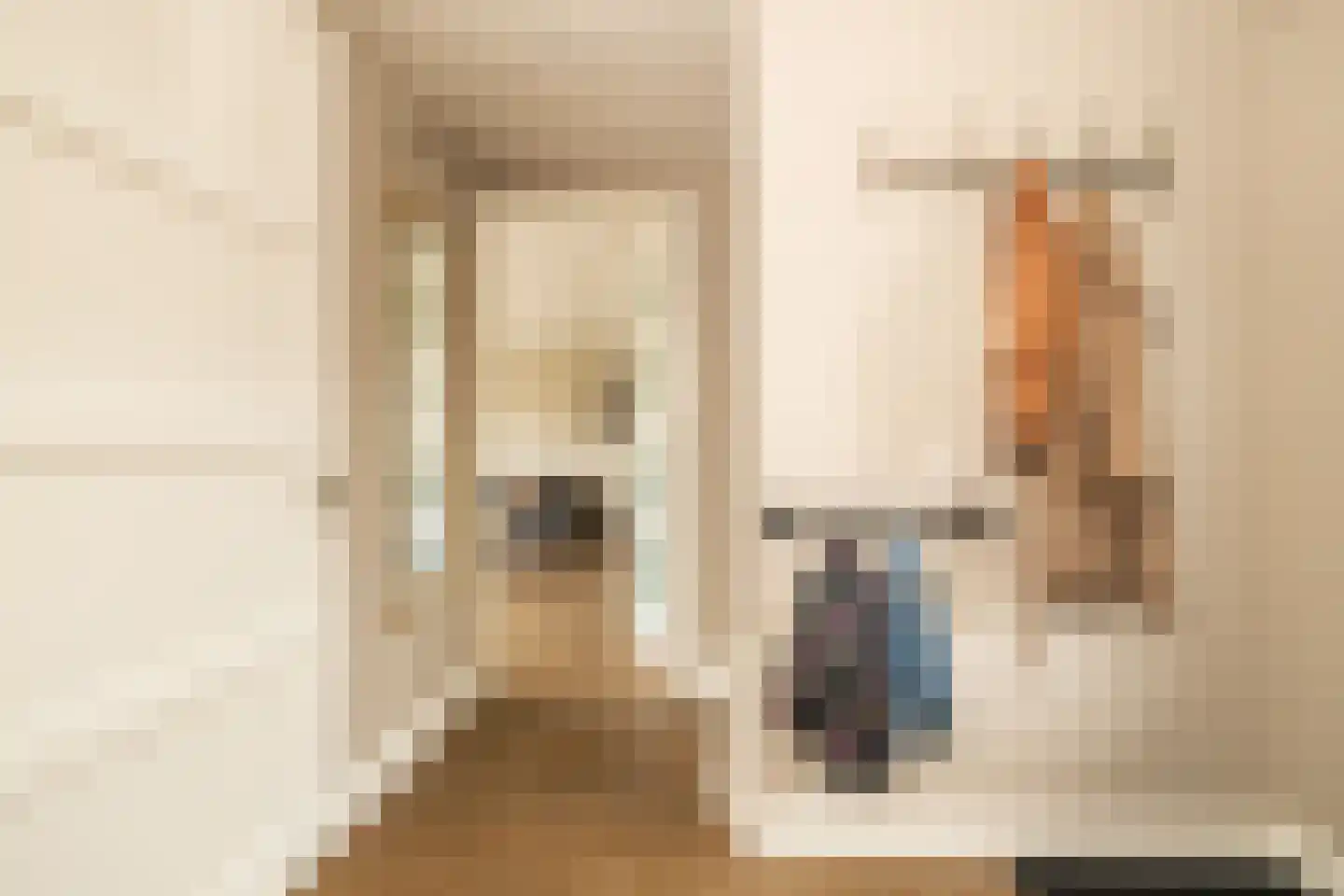 Socratesstraat 13 Honselersdijk thumbnail 6