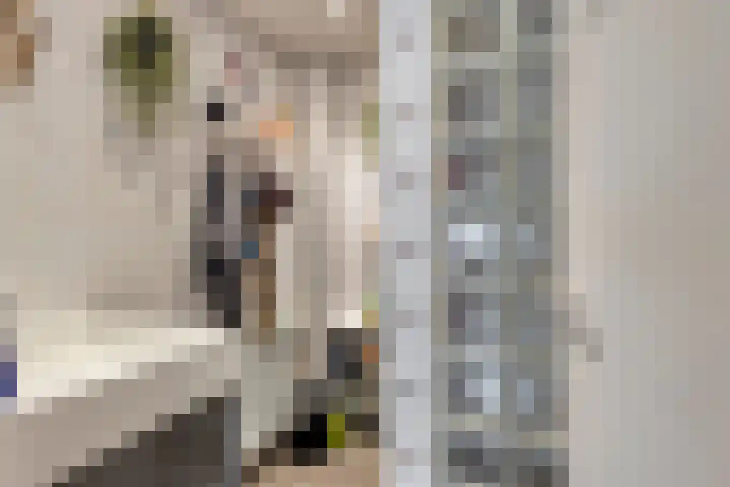 Socratesstraat 133 Rotterdam thumbnail 12