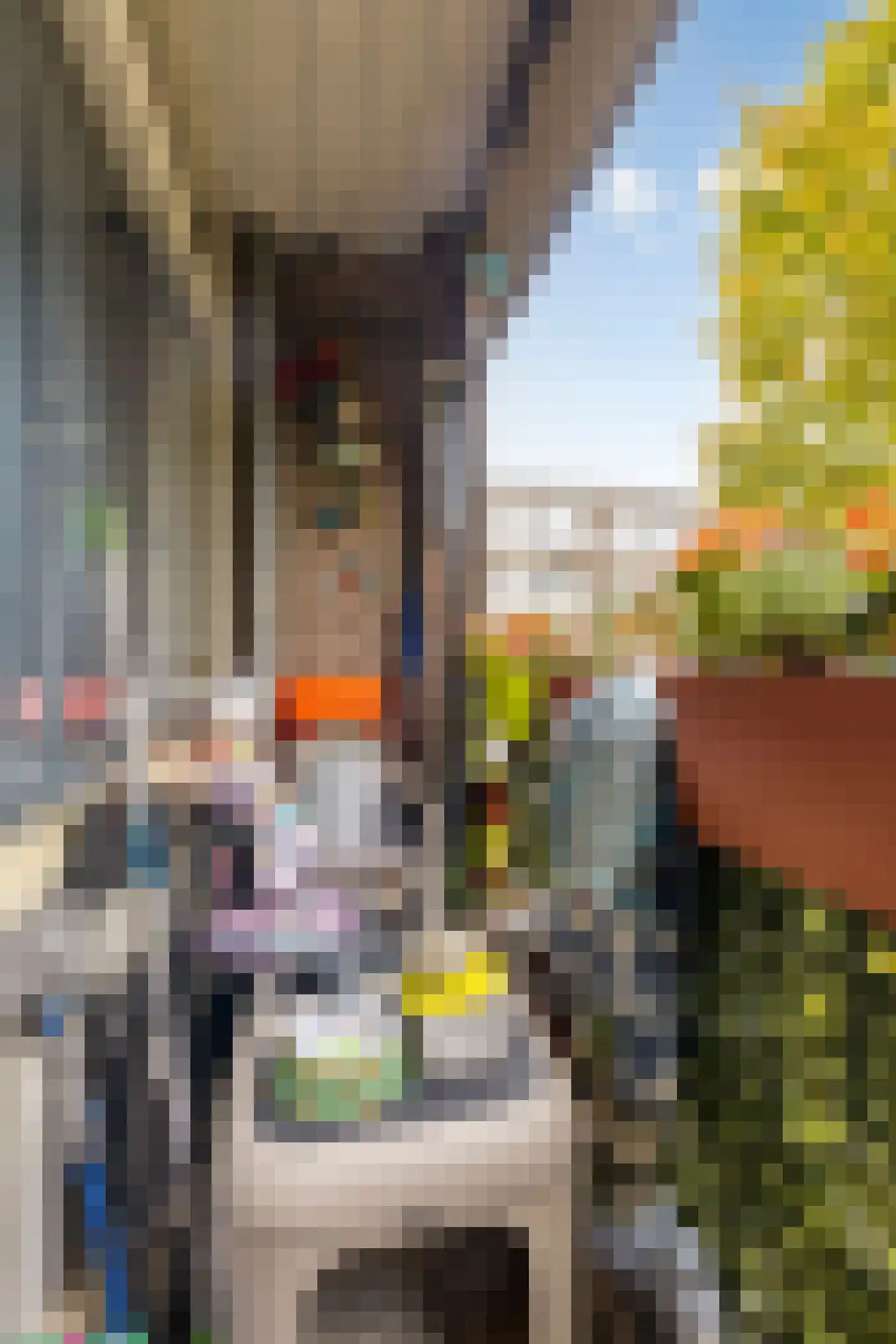 Socratesstraat 133 Rotterdam thumbnail 6