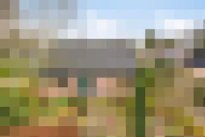 Socratesstraat 14 Arnhem thumbnail 4