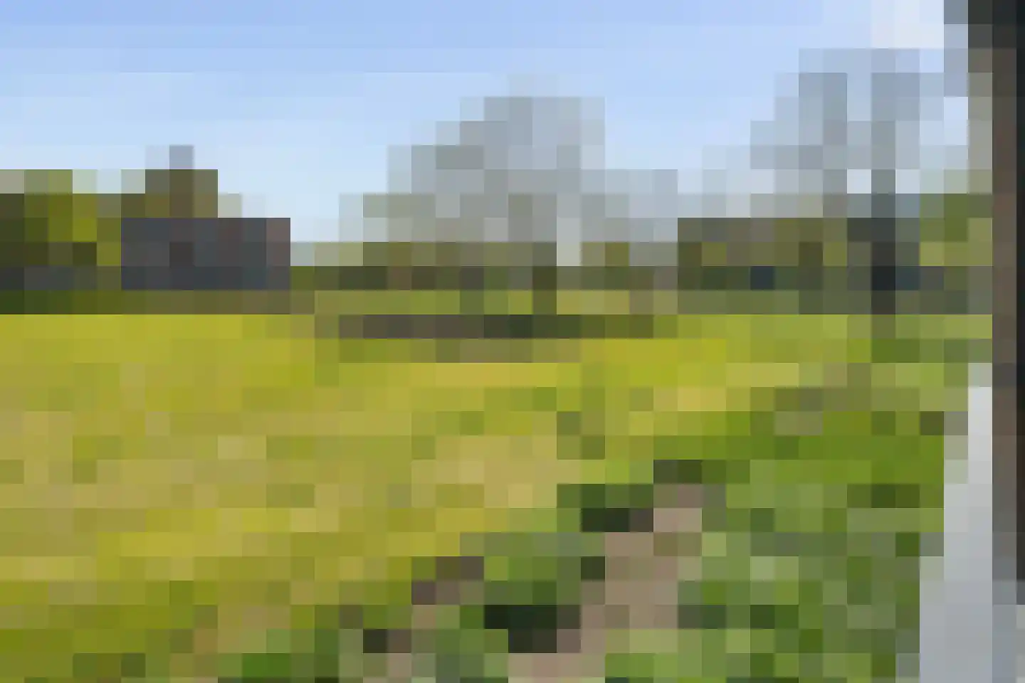 Socratesstraat 141 Rotterdam thumbnail 23