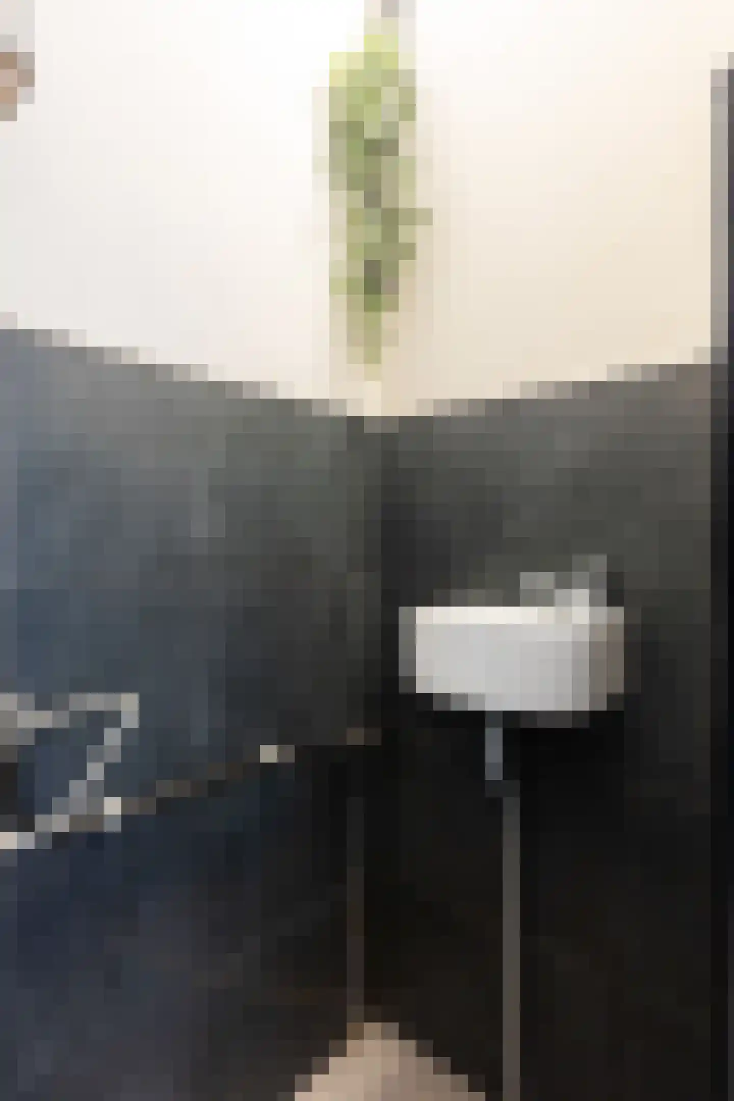Socratesstraat 144 Apeldoorn thumbnail 32