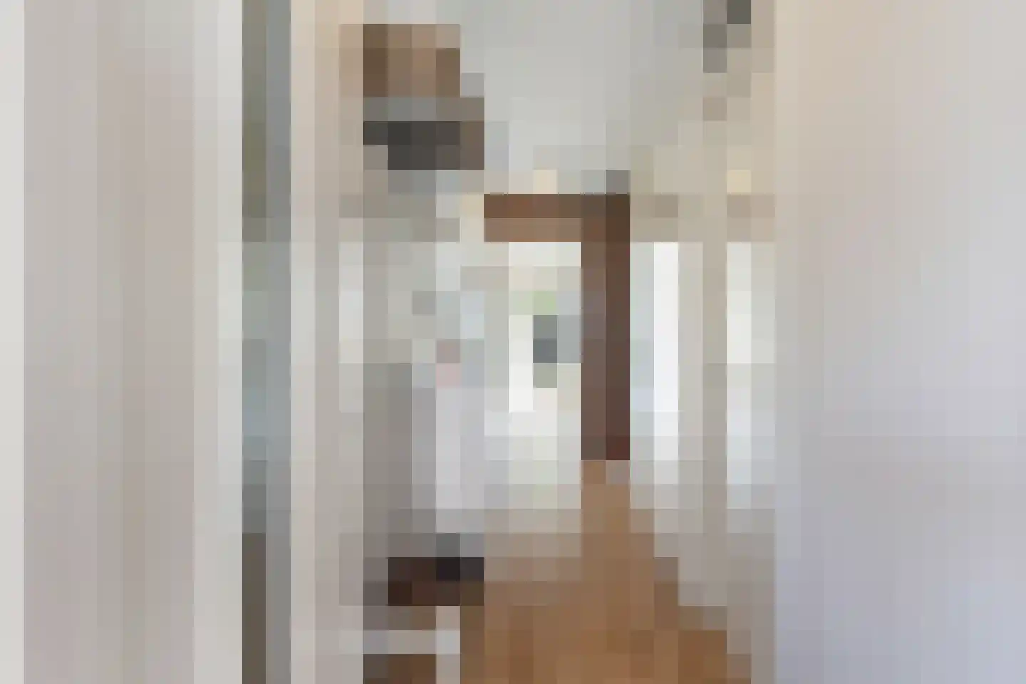Socratesstraat 144 Apeldoorn thumbnail 33